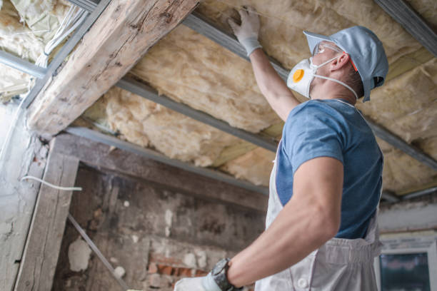 Best Wall Insulation Contractor  in Williamsville, NY