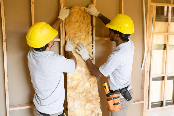 Best Soundproof Insulation Installation  in Williamsville, NY