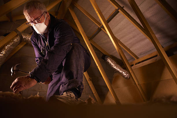 Professional Insulation Contractor in Williamsville, NY